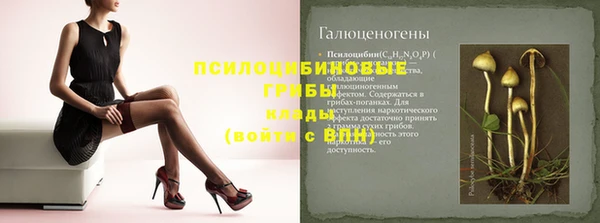 дживик Баксан